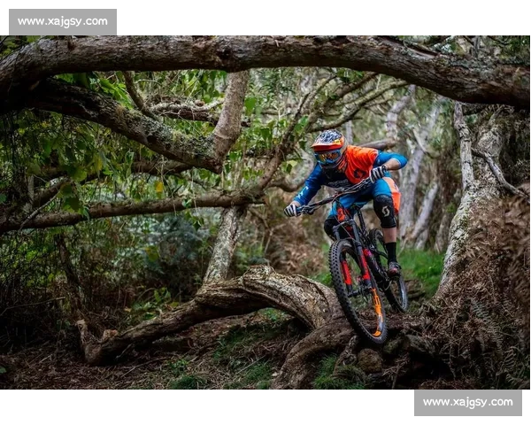 全川首条山地速降赛道落地眉山天府新区